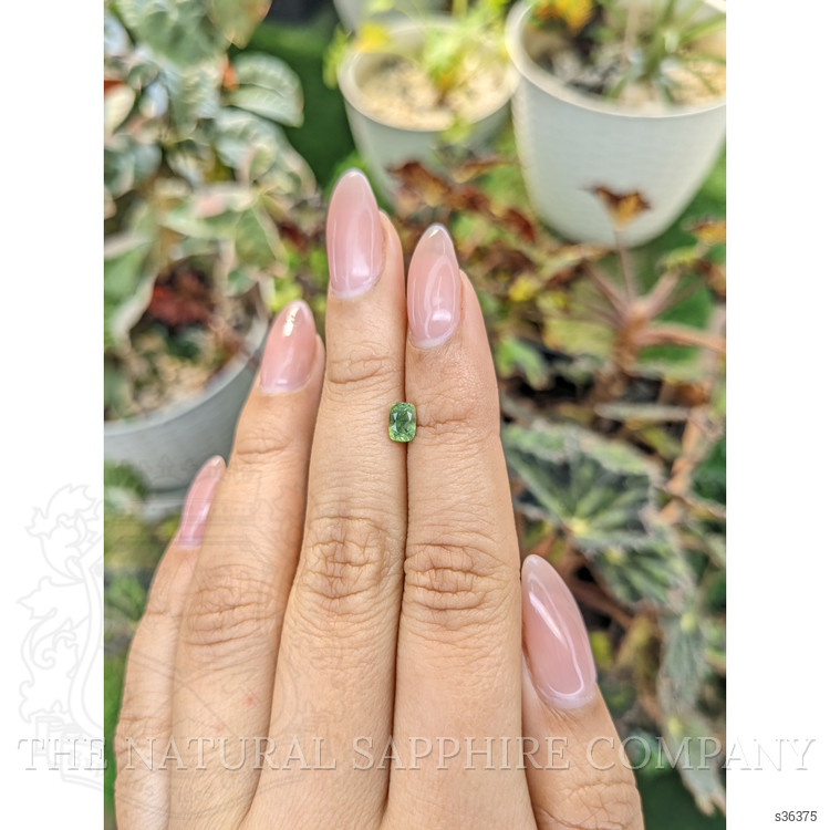 0.74 Ct. Yellowish Green Sapphire from Madagascar