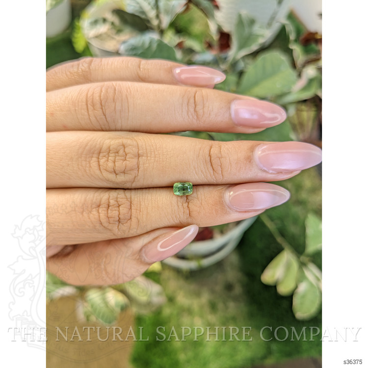 0.74 Ct. Yellowish Green Sapphire from Madagascar