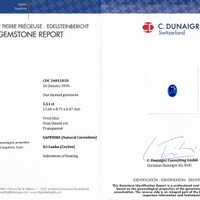 Jewelry Scan Report