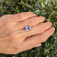 3.50 Ct. Blue Sapphire from Ceylon (Sri Lanka) Life Style