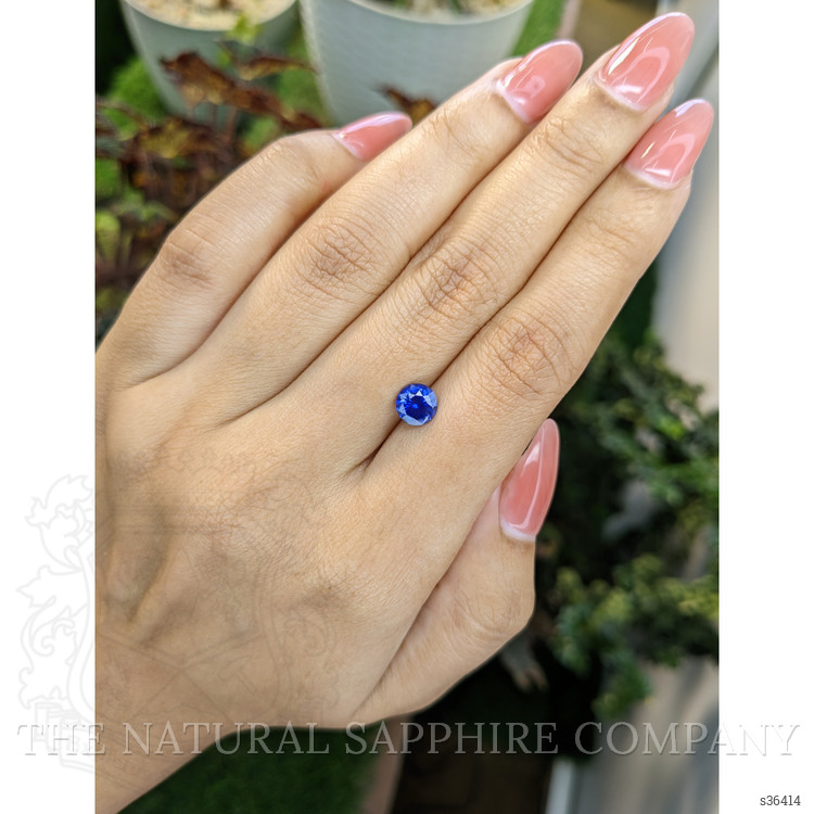 1.21 Ct. Blue Sapphire from Ceylon (Sri Lanka)