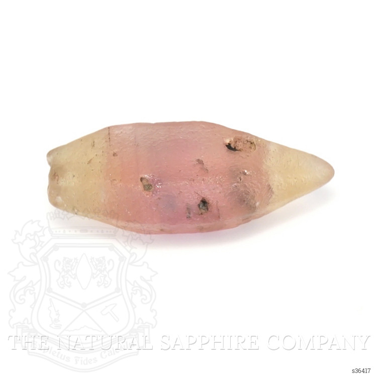 10.89 Ct. Bi Color Rough Sapphire Crystal from Ceylon (Sri Lanka)