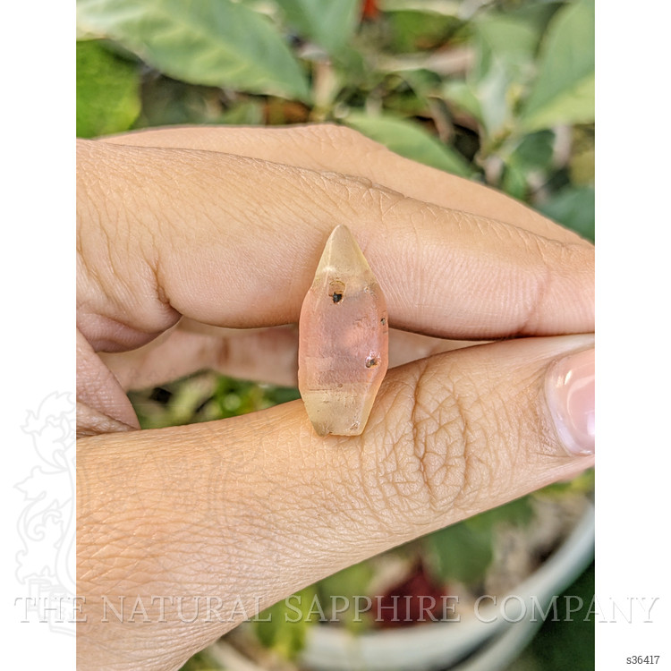 10.89 Ct. Bi Color Rough Sapphire Crystal from Ceylon (Sri Lanka)