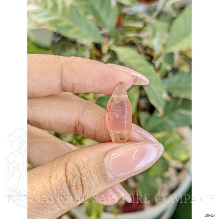 10.89 Ct. Bi Color Rough Sapphire Crystal from Ceylon (Sri Lanka)