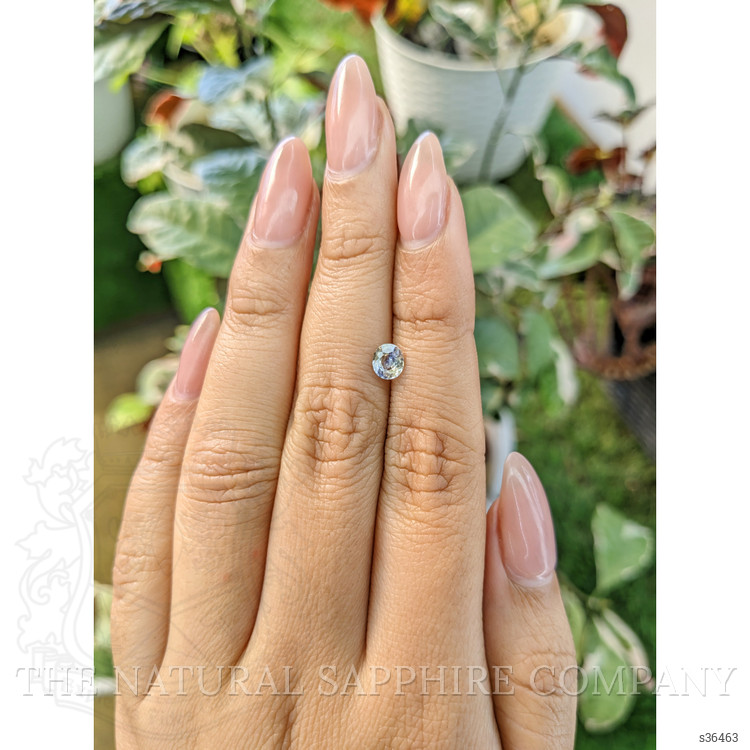 0.52 Ct. Bi Color / Parti Sapphire from Ceylon (Sri Lanka)