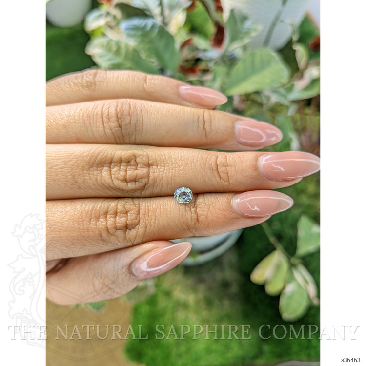 0.52 Ct. Bi Color / Parti Sapphire from Ceylon (Sri Lanka)