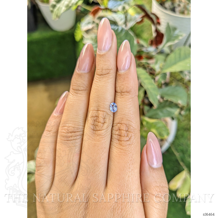 0.34 Ct. Bi Color / Parti Sapphire from Ceylon (Sri Lanka)