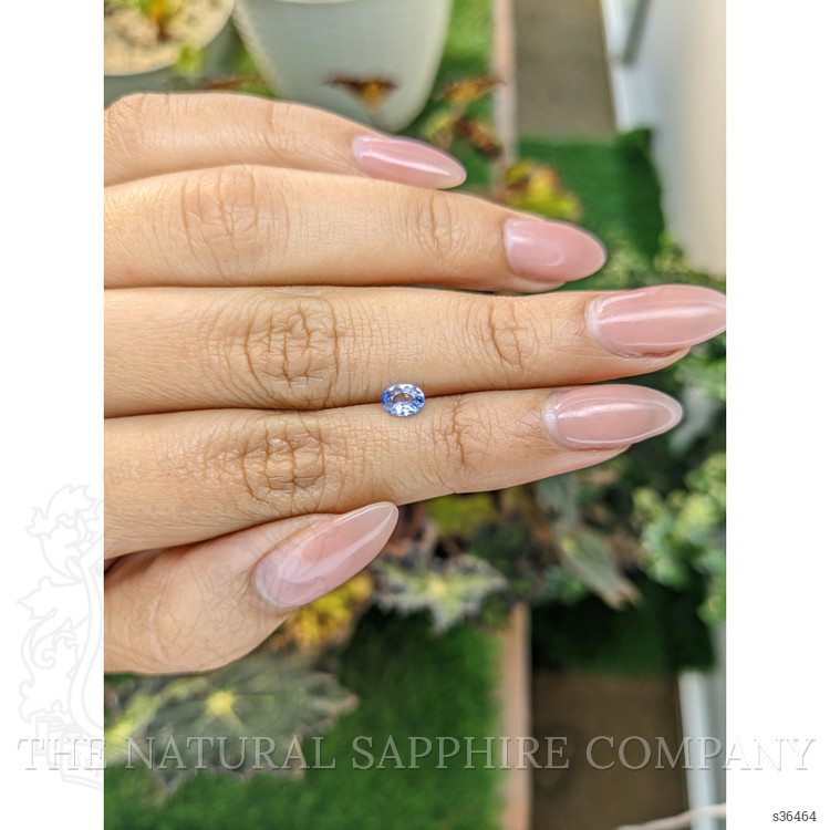 0.34 Ct. Bi Color / Parti Sapphire from Ceylon (Sri Lanka)