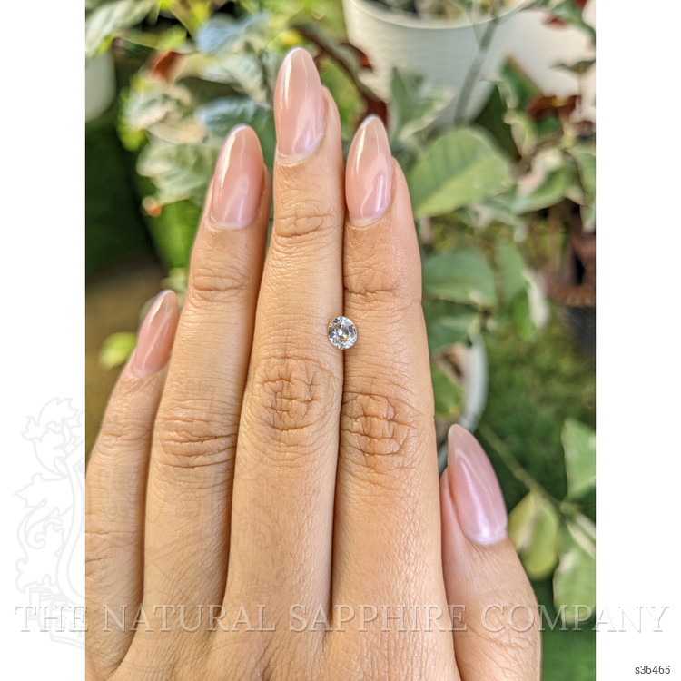 0.52 Ct. Bi Color / Parti Sapphire from Ceylon (Sri Lanka)