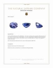 1.04 Ct. Blue Sapphire from Ceylon (Sri Lanka) Appraisal