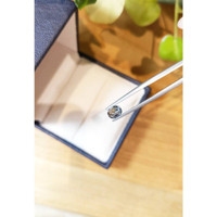 0.98 Ct. Blue Sapphire from Ceylon (Sri Lanka) Life Style