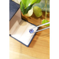 1.23 Ct. Blue Sapphire from Ceylon (Sri Lanka) Life Style