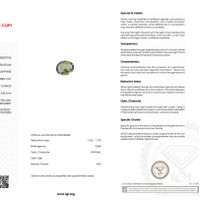 Jewelry Scan Report