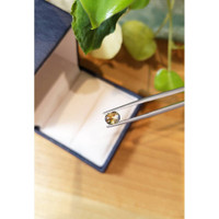 1.08 Ct. Bi Color / Parti Sapphire from Ceylon (Sri Lanka) Life Style