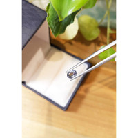 1.12 Ct. Greyish Blue Sapphire from Ceylon (Sri Lanka) Life Style