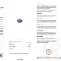 1.31 Ct. Blue Sapphire from Ceylon (Sri Lanka) Scan Report