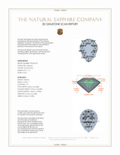 Jewelry 3 D Scan Report