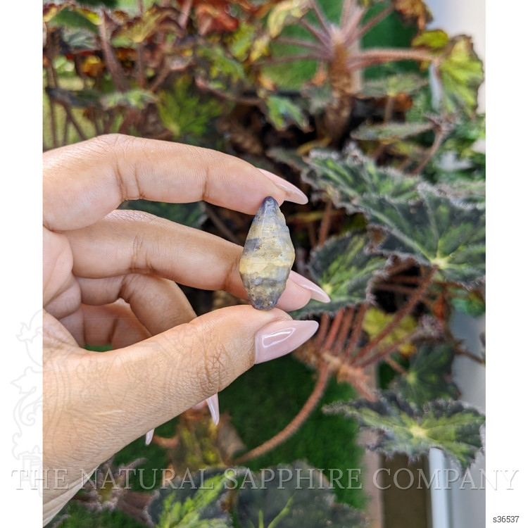 31.96 Ct. Bi Color Rough Sapphire Crystal from Ceylon (Sri Lanka)