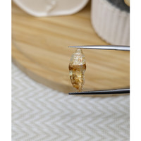 5.68 Ct. Yellow Rough Sapphire Crystal from Ceylon (Sri Lanka) Life Style