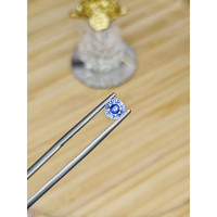 0.81 Ct. Blue Sapphire from Ceylon (Sri Lanka) Life Style