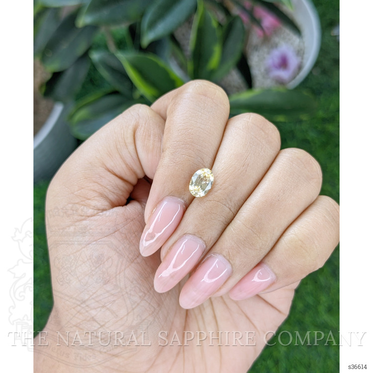 1.58 Ct. Yellow Sapphire from Ceylon (Sri Lanka)