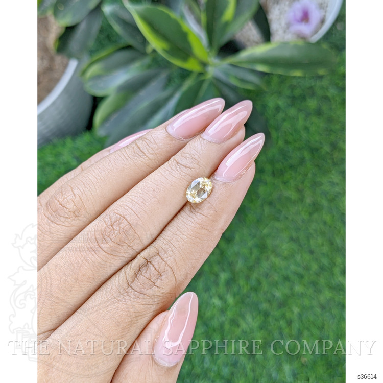1.58 Ct. Yellow Sapphire from Ceylon (Sri Lanka)