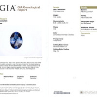 Jewelry Scan Report