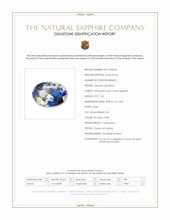 Jewelry Scan Report