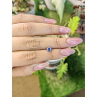 0.69 Ct. Blue Sapphire from Ceylon (Sri Lanka) Life Style