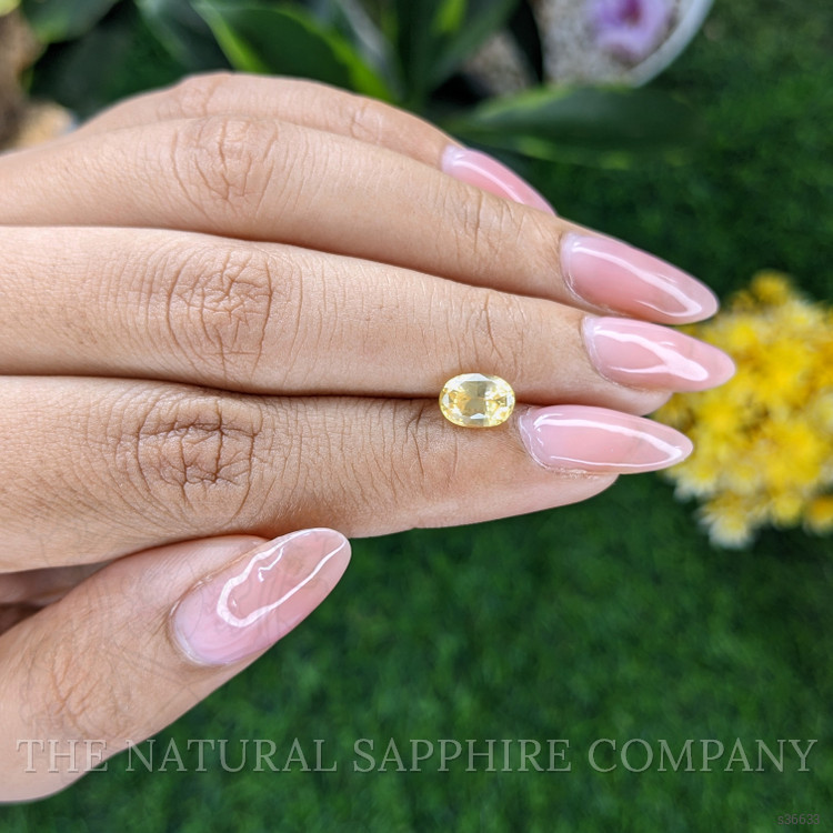1.55 Ct. Yellow Sapphire from Ceylon (Sri Lanka)
