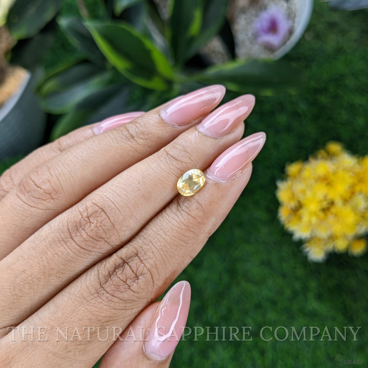 1.55 Ct. Yellow Sapphire from Ceylon (Sri Lanka)