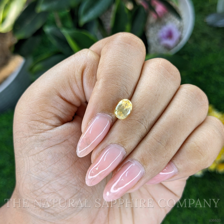 1.55 Ct. Yellow Sapphire from Ceylon (Sri Lanka)