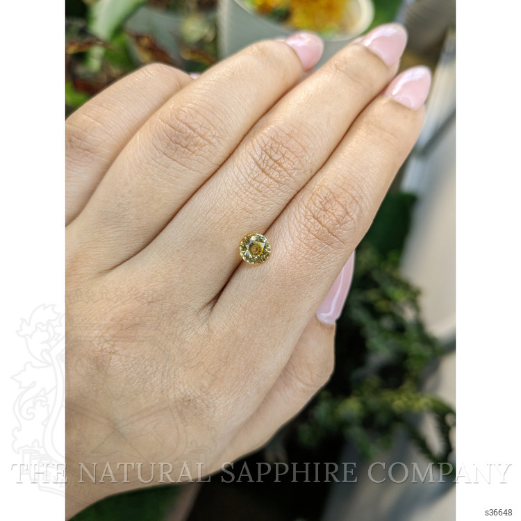 1.23 Ct. Yellow Sapphire from Ceylon (Sri Lanka)