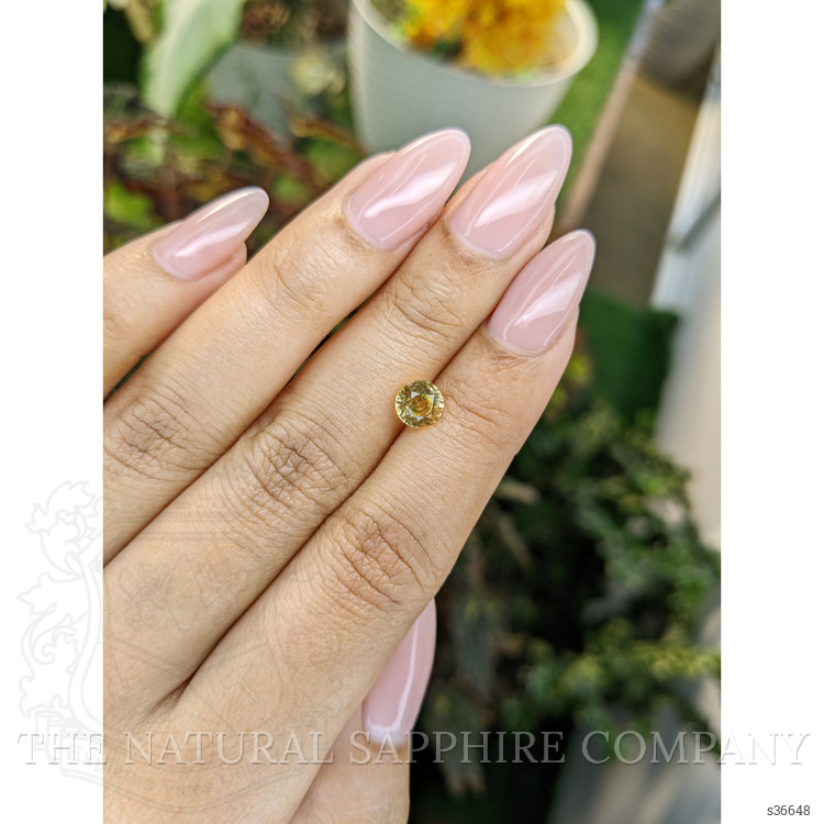 1.23 Ct. Yellow Sapphire from Ceylon (Sri Lanka)