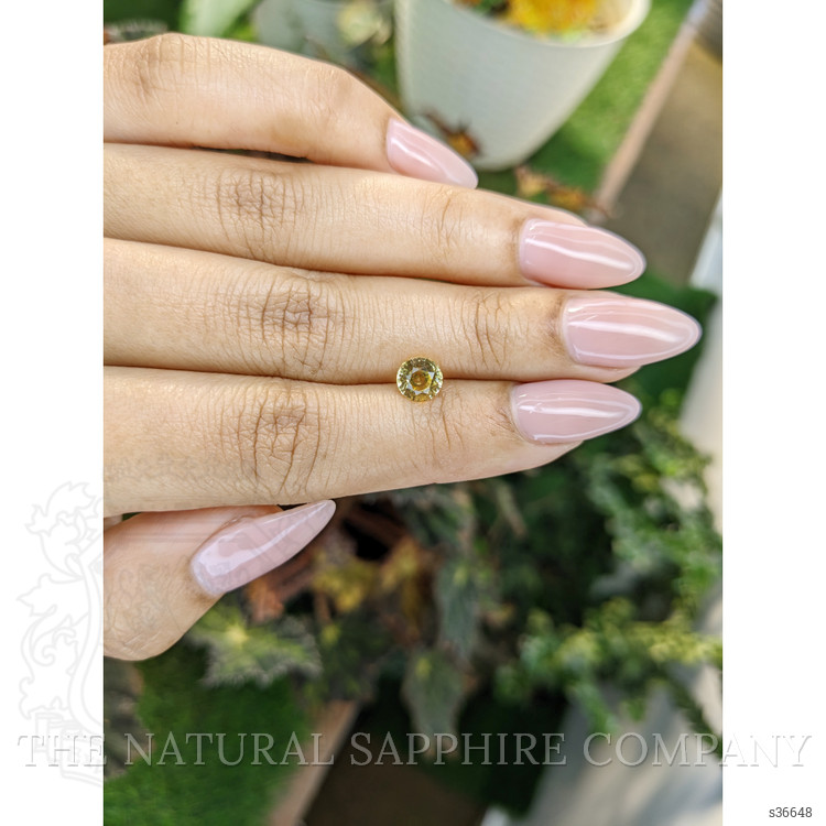1.23 Ct. Yellow Sapphire from Ceylon (Sri Lanka)