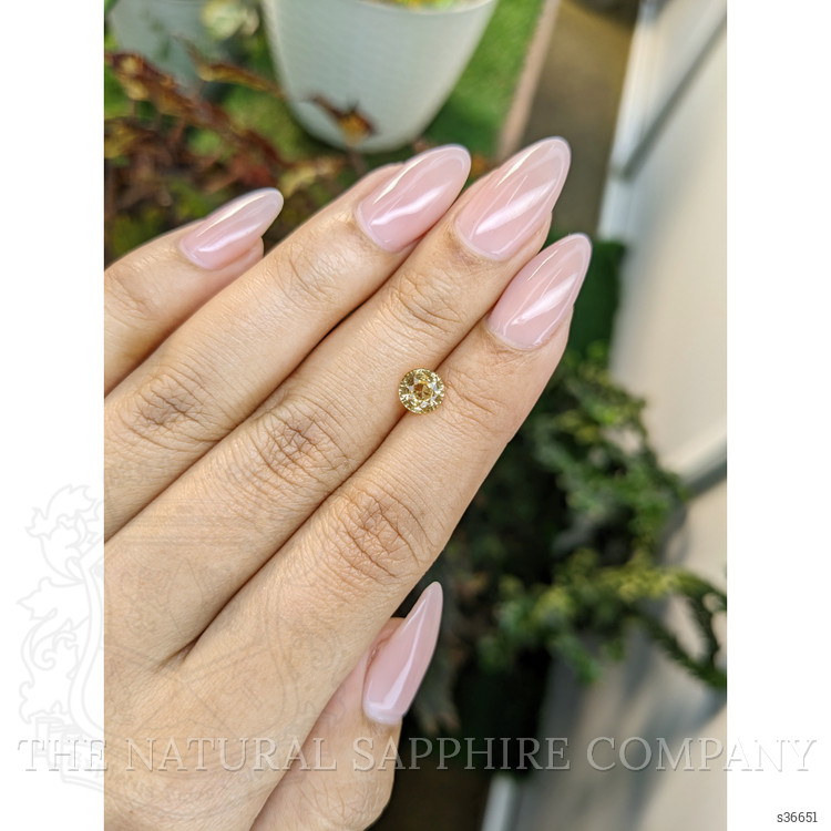 1.21 Ct. Yellow Sapphire from Ceylon (Sri Lanka)