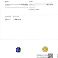 Jewelry Scan Report