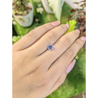1.45 Ct. Violet Sapphire from Ceylon (Sri Lanka) Life Style