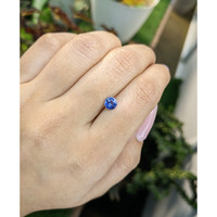 0.66 Ct. Blue Sapphire from Ceylon (Sri Lanka) Life Style