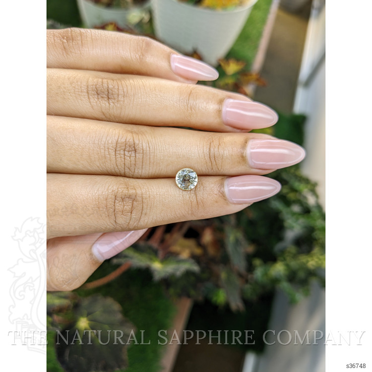 1.68 Ct. Yellow Sapphire from Ceylon (Sri Lanka)