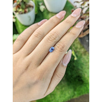 0.94 Ct. Blue Sapphire from Ceylon (Sri Lanka) Life Style