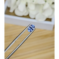 0.94 Ct. Blue Sapphire from Ceylon (Sri Lanka) Life Style