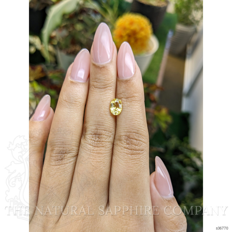 1.50 Ct. Yellow Sapphire from Ceylon (Sri Lanka)