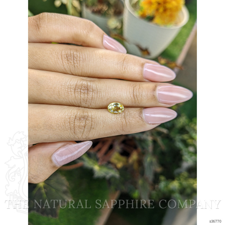 1.50 Ct. Yellow Sapphire from Ceylon (Sri Lanka)