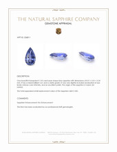 1.03 Ct. Blue Sapphire from Ceylon (Sri Lanka) Appraisal