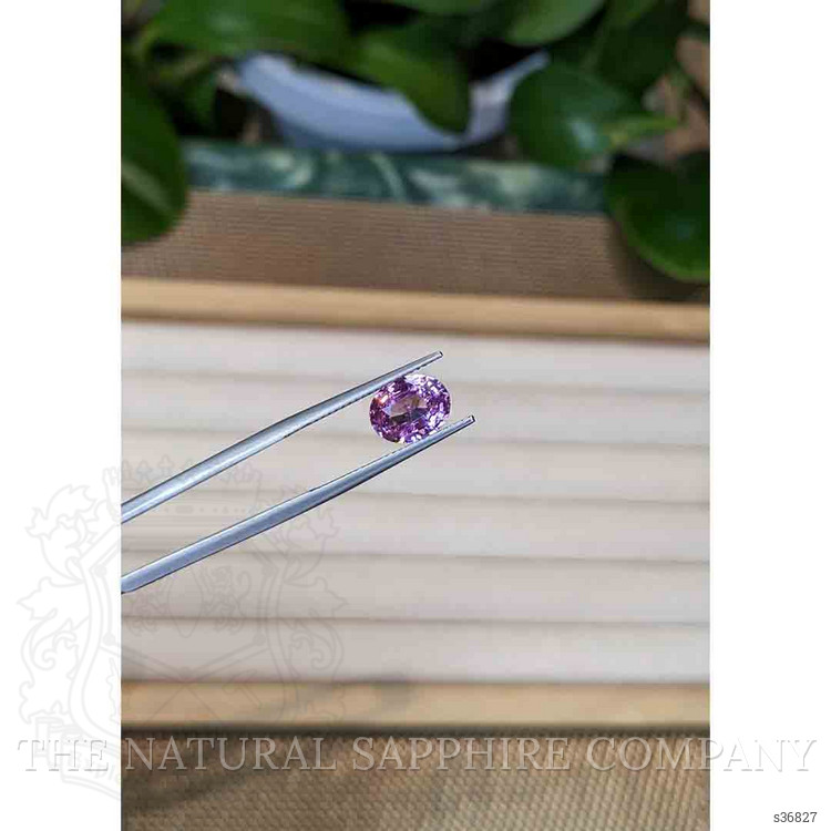 3.09 Ct. Purple Sapphire from Ceylon (Sri Lanka)