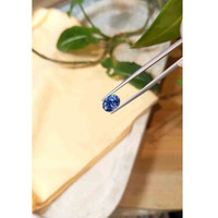 2.54 Ct. Blue Sapphire from Ceylon (Sri Lanka) Life Style