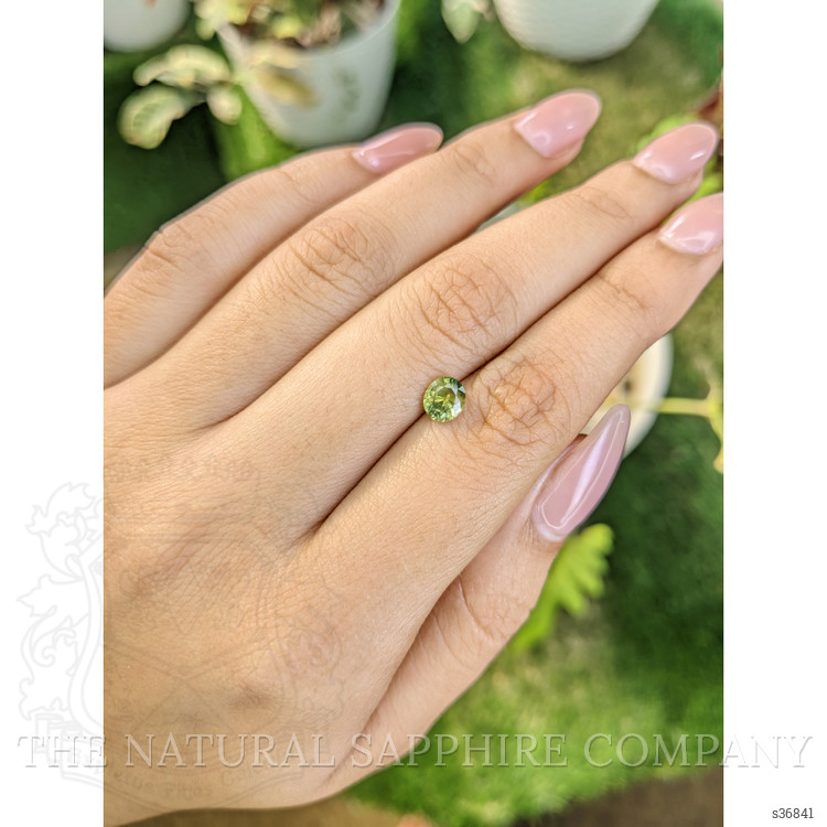 0.93 Ct. Yellowish Green Sapphire from Ceylon (Sri Lanka)