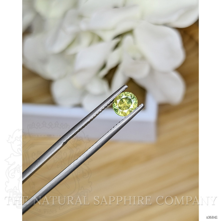 0.93 Ct. Yellowish Green Sapphire from Ceylon (Sri Lanka)