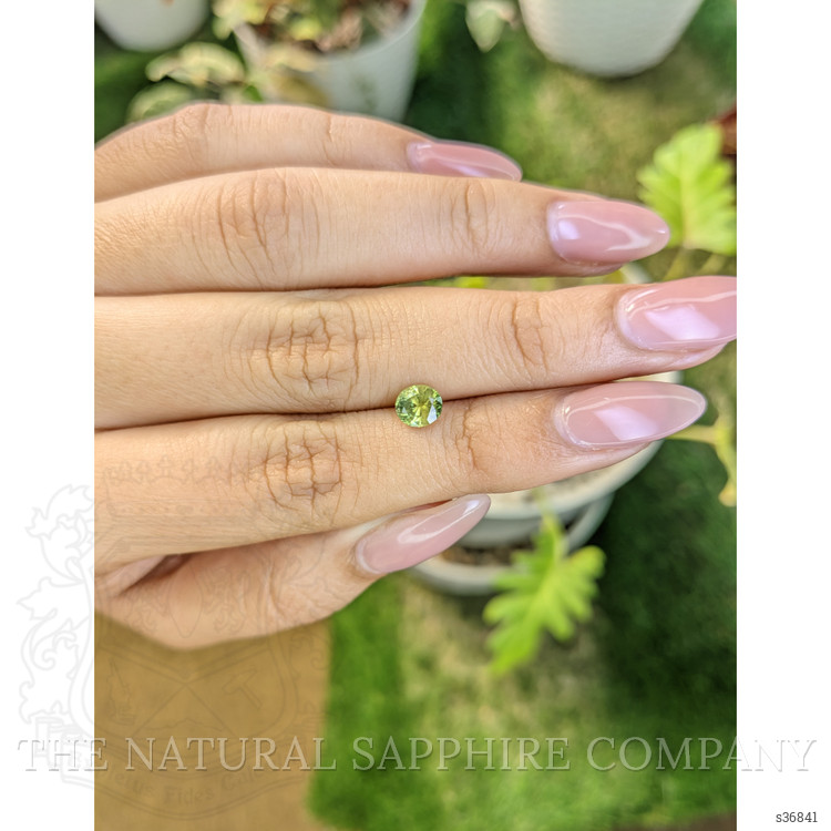 0.93 Ct. Yellowish Green Sapphire from Ceylon (Sri Lanka)